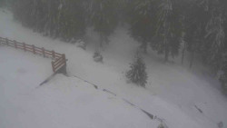 Přístup na běžeckou trať