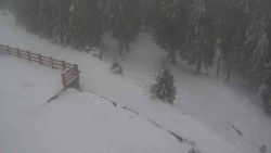 Přístup na běžeckou trať