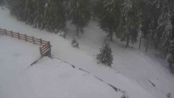 Přístup na běžeckou trať