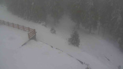 Přístup na běžeckou trať