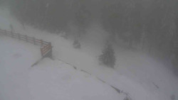 Přístup na běžeckou trať