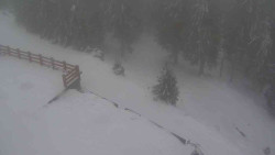 Přístup na běžeckou trať