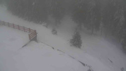 Přístup na běžeckou trať