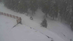 Přístup na běžeckou trať