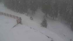 Přístup na běžeckou trať