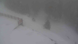 Přístup na běžeckou trať