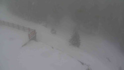 Přístup na běžeckou trať