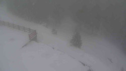 Přístup na běžeckou trať