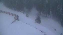 Přístup na běžeckou trať