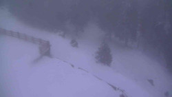 Přístup na běžeckou trať