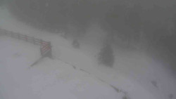 Přístup na běžeckou trať