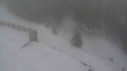 Přístup na běžeckou trať