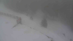 Přístup na běžeckou trať