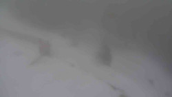 Přístup na běžeckou trať