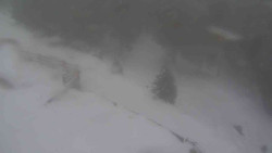 Přístup na běžeckou trať