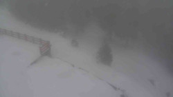 Přístup na běžeckou trať