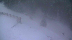 Přístup na běžeckou trať