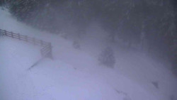 Přístup na běžeckou trať