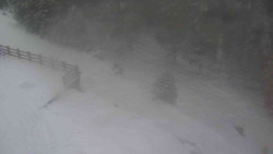 Přístup na běžeckou trať