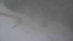 Přístup na běžeckou trať