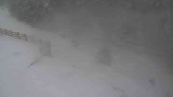 Přístup na běžeckou trať