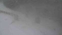 Přístup na běžeckou trať