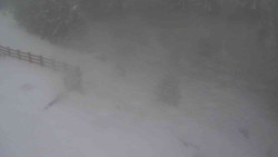 Přístup na běžeckou trať