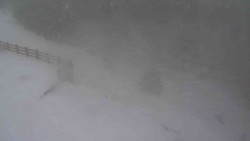 Přístup na běžeckou trať