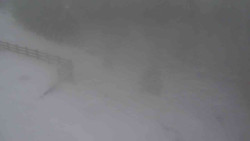 Přístup na běžeckou trať