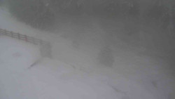 Přístup na běžeckou trať