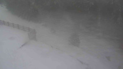 Přístup na běžeckou trať