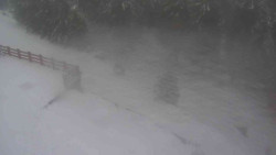 Přístup na běžeckou trať