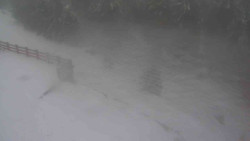 Přístup na běžeckou trať