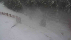 Přístup na běžeckou trať