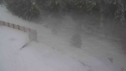 Přístup na běžeckou trať