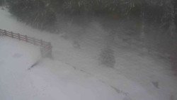 Přístup na běžeckou trať