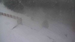 Přístup na běžeckou trať