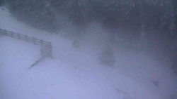 Přístup na běžeckou trať