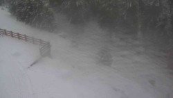 Přístup na běžeckou trať