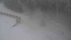 Přístup na běžeckou trať