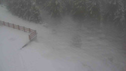 Přístup na běžeckou trať