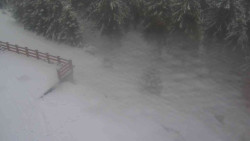 Přístup na běžeckou trať