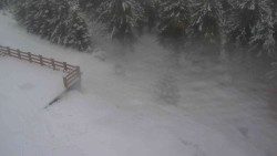 Přístup na běžeckou trať