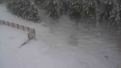 Přístup na běžeckou trať