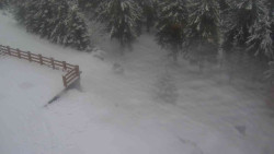 Přístup na běžeckou trať