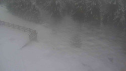 Přístup na běžeckou trať