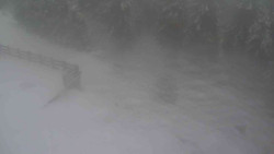 Přístup na běžeckou trať