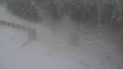 Přístup na běžeckou trať