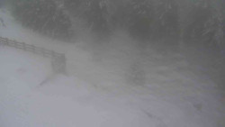 Přístup na běžeckou trať