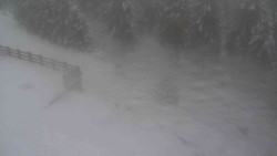 Přístup na běžeckou trať